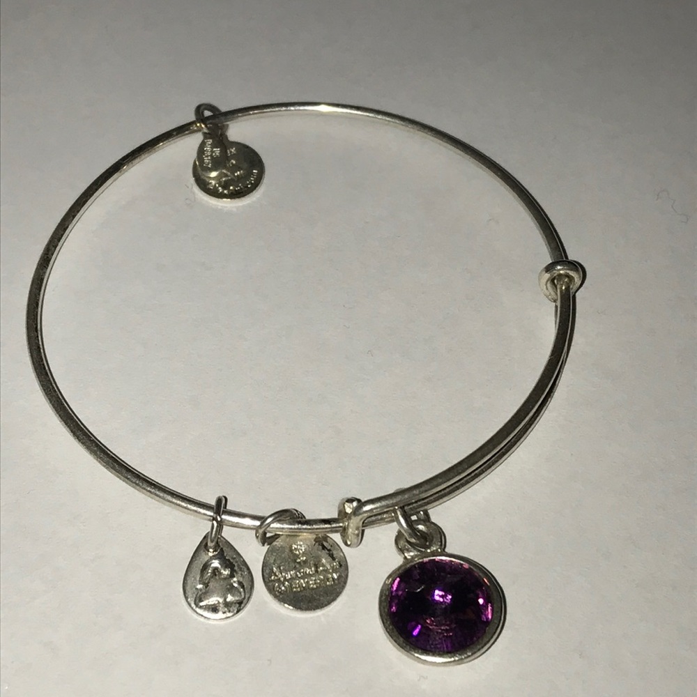 Women’s Alex & Ani ruby charm bracelet